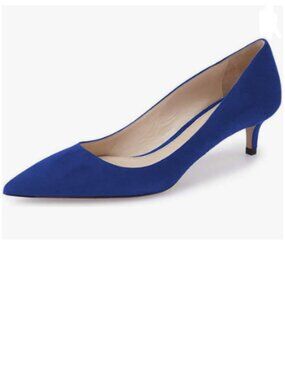 YDN Royal Blue Kitten Heel Suede Pumps Pointed Toe Dress Shoes for Office Lady